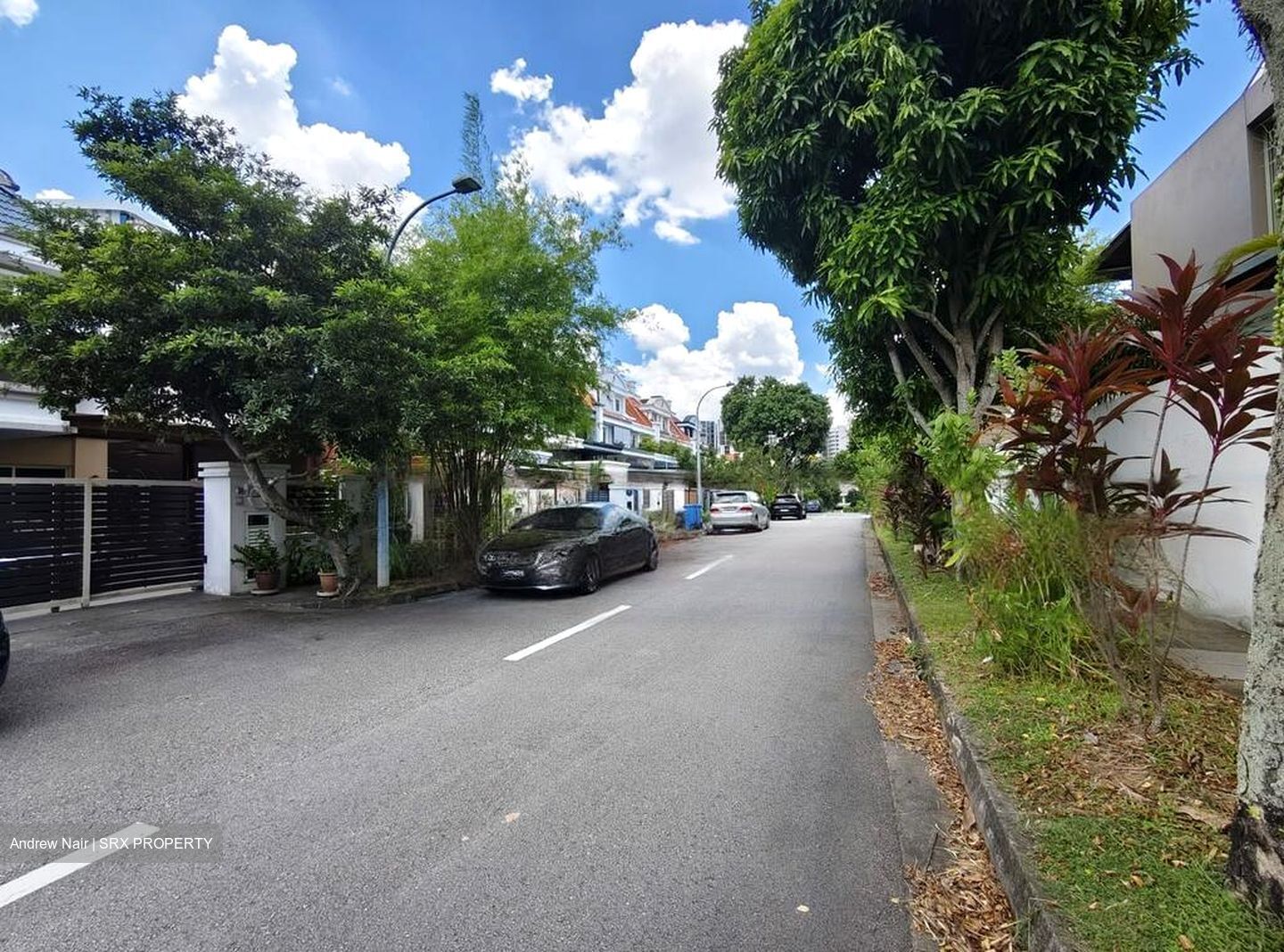 Tivoli Gardens (D19), Terrace #452055001